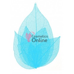 Frunze naturale uscate 4 bucati, Blue